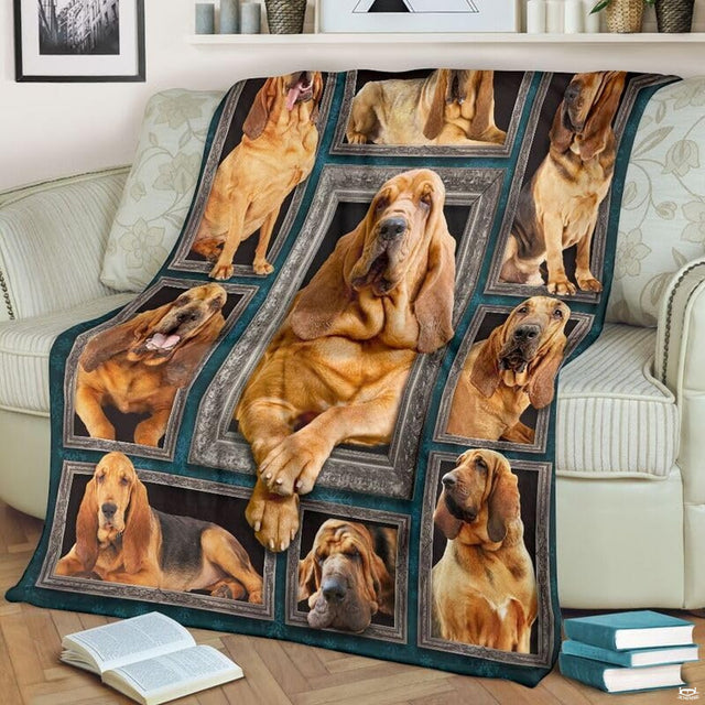Close view of center Bloodhound dog in ornate silver picture frame on blanket