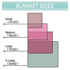 Comparative scale diagram showcasing four format options with color-coded rectangular guides.