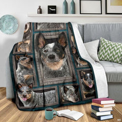 Grey couch arrangement featuring the Australian Cattle Dog blanket draped beside patterned pillows.