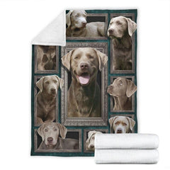 Close view of folded edge finish on silver Labrador blanket