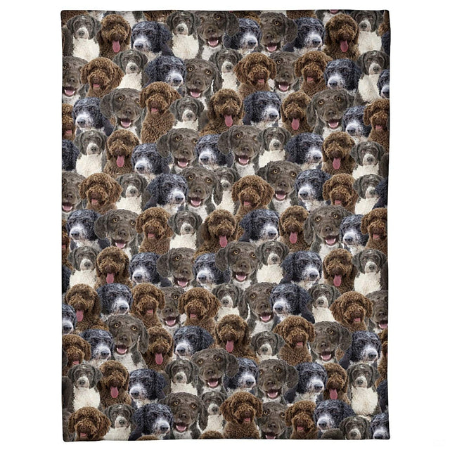 All-over pattern display showing a dense photo collage of smiling Spanish curly dog portraits.