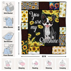 Patchwork border detailing black-and-white stripes, paw motifs, and sunny floral accents.