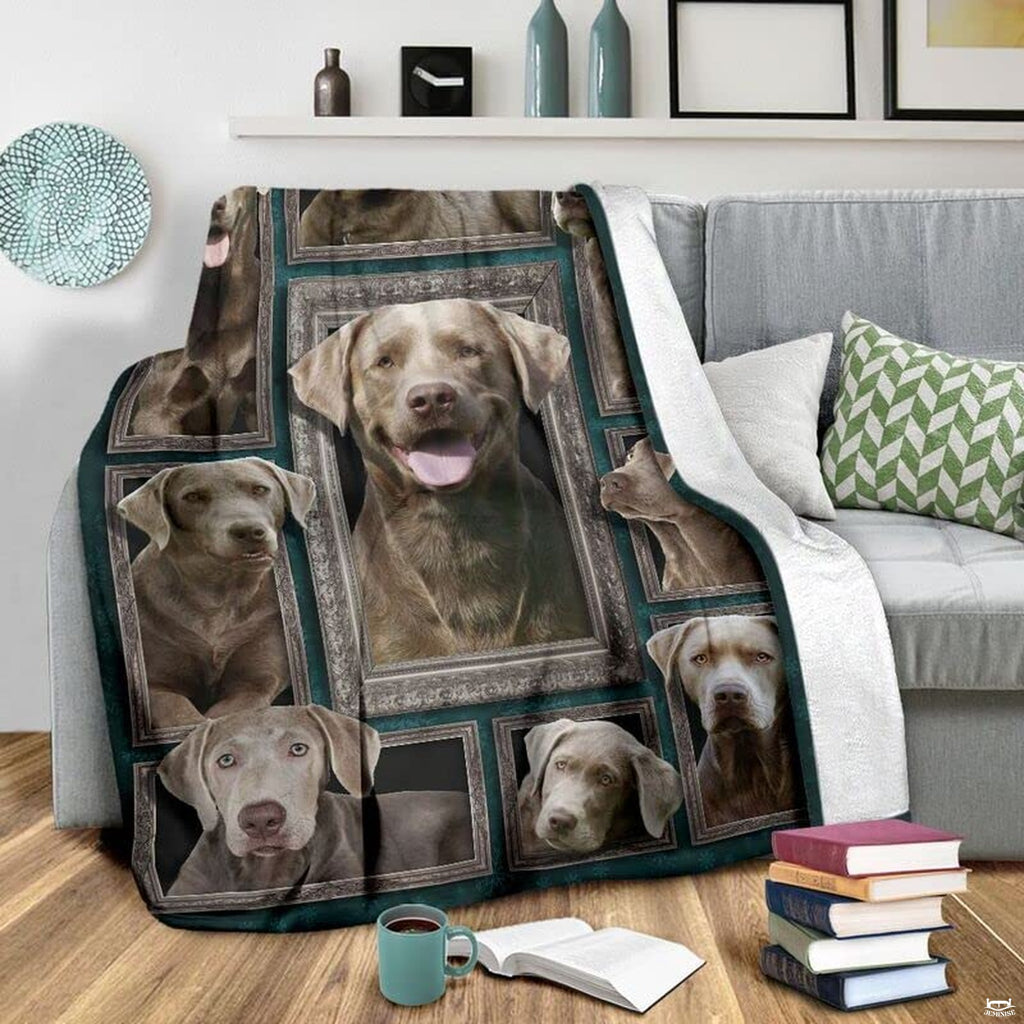 Framed dog gallery graphic blanket styled across bedroom bed