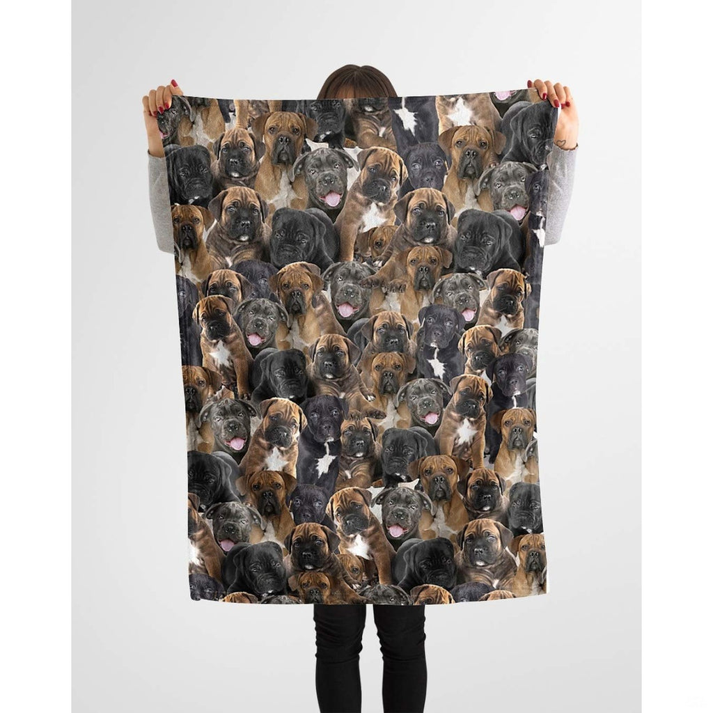 Cane Corso puppy collage blanket styled across a couch in a bright living room.