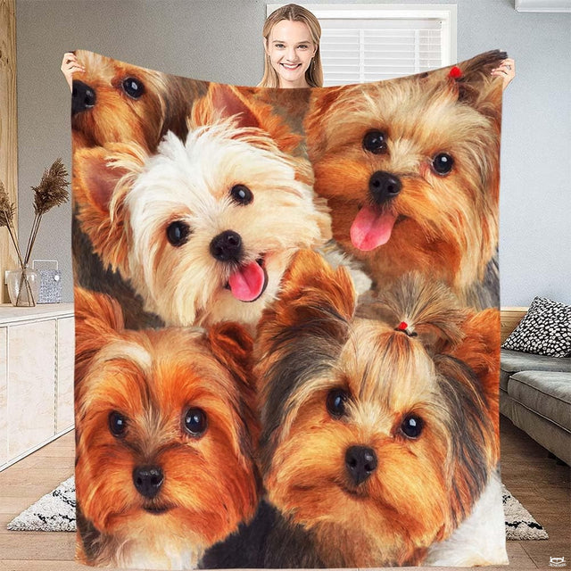 Five smiling Yorkshire Terrier puppies group portrait throw blanket showing varied coat colors and red bows