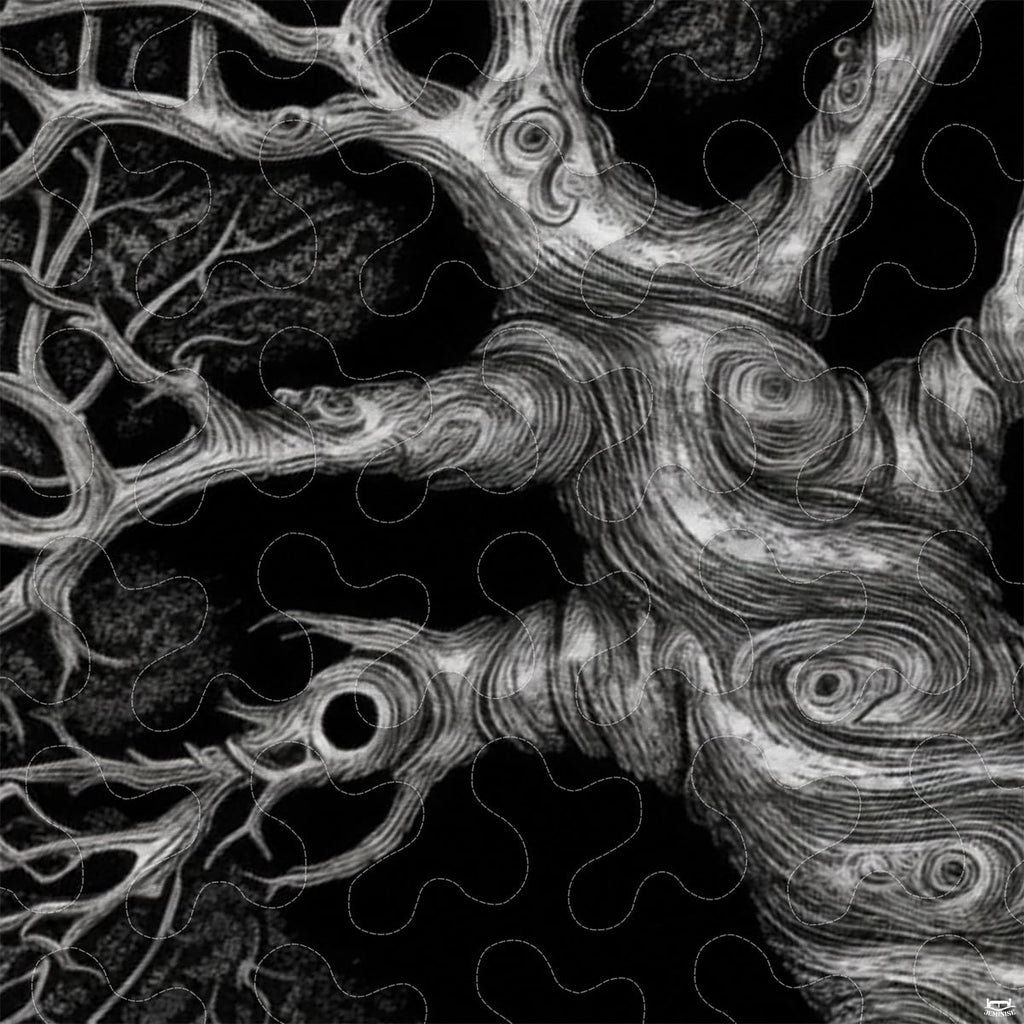Close-up perspective of Celtic bedding detailing swirling trunk lines, intricate braided roots, and sharp contrast