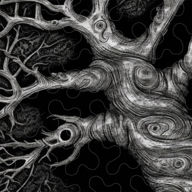 Close-up perspective of Celtic bedding detailing swirling trunk lines, intricate braided roots, and sharp contrast