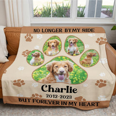 Living room staging of pet sympathy throw blanket draped over an armchair beside a side table.