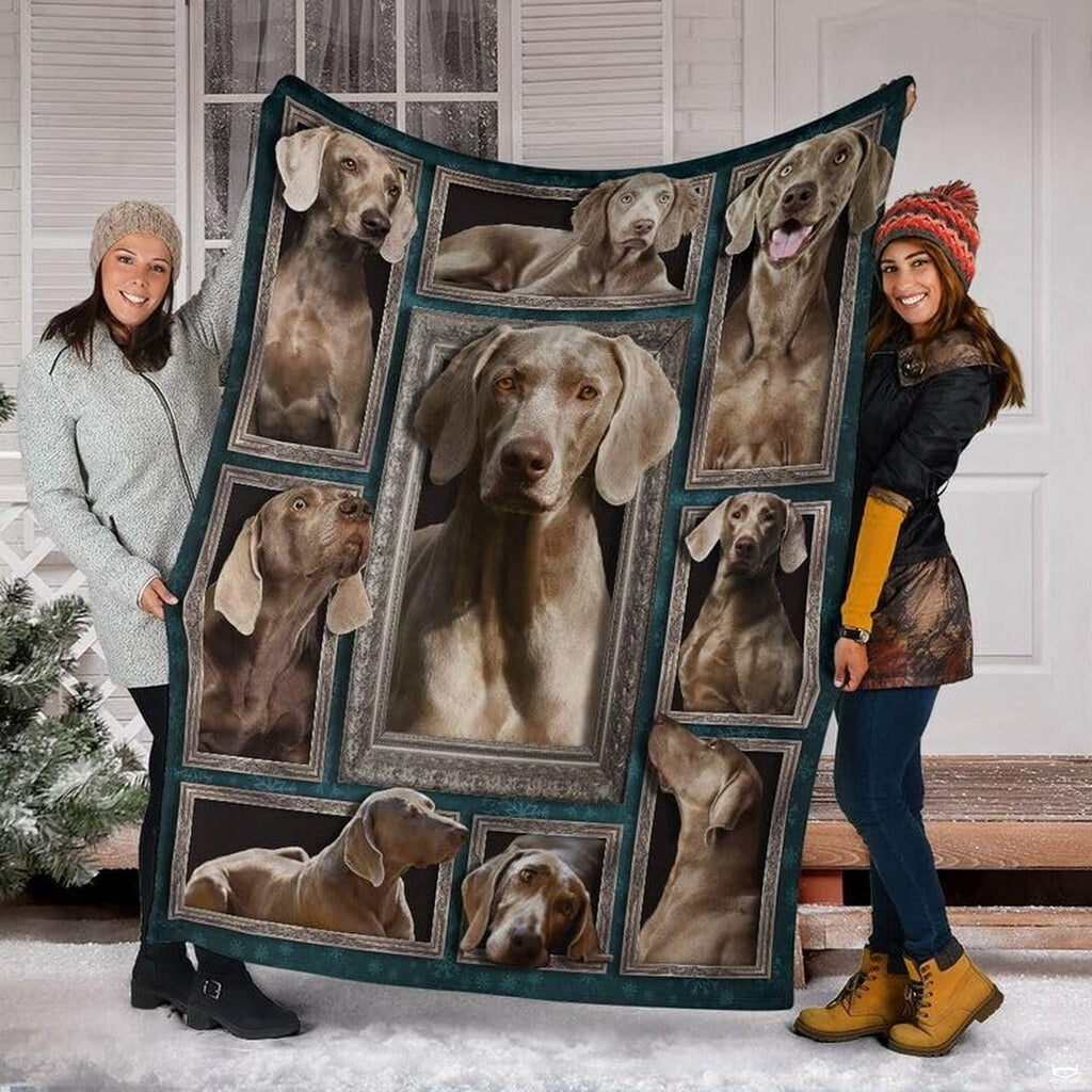 Bedroom setting styled with an elegant canine gallery wall collage draped across the bed.