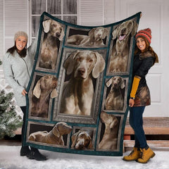 Bedroom setting styled with an elegant canine gallery wall collage draped across the bed.