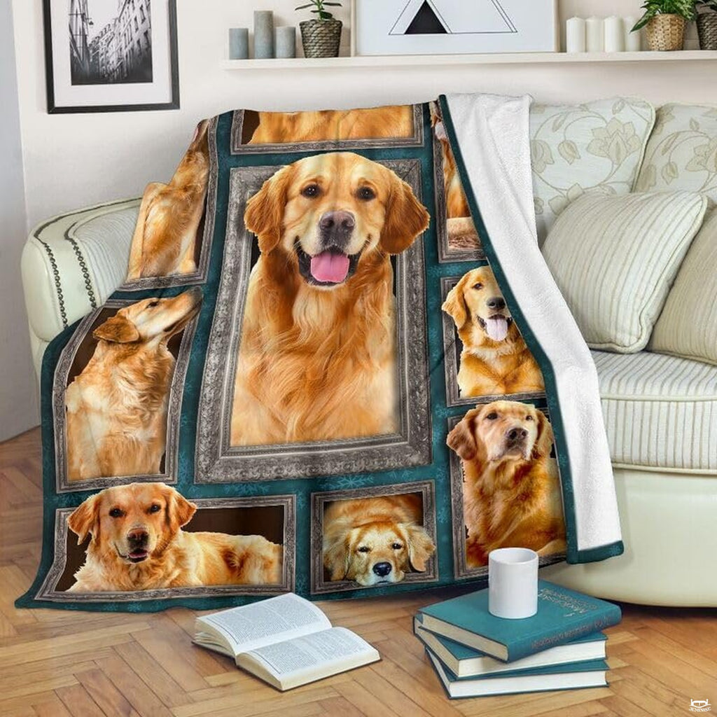 Golden retriever portrait collage featuring multiple framed dog poses on teal background.