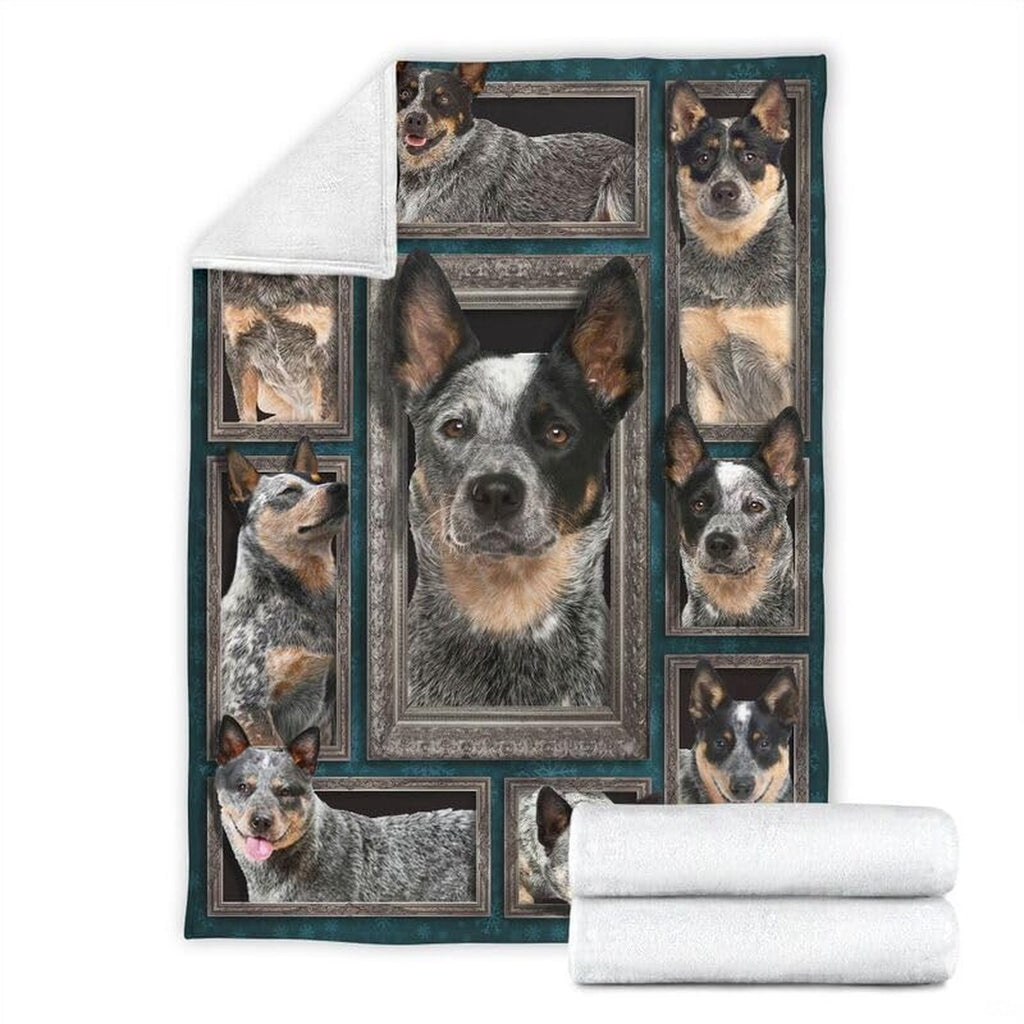Folded corner and rolled layout of the Australian Cattle Dog blanket showing the white reverse side.
