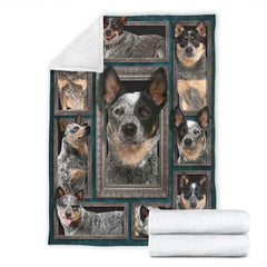 Folded corner and rolled layout of the Australian Cattle Dog blanket showing the white reverse side.