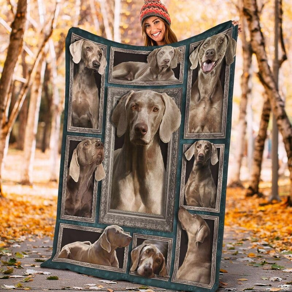 Weimaraner gallery wall visual motif paired with crisp white reverse for balanced bedroom styling.