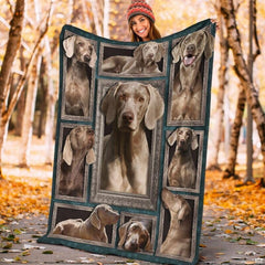 Weimaraner gallery wall visual motif paired with crisp white reverse for balanced bedroom styling.