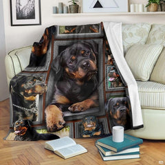 Rottweiler blanket draped over an armchair displaying framed dog portraits on a teal background.