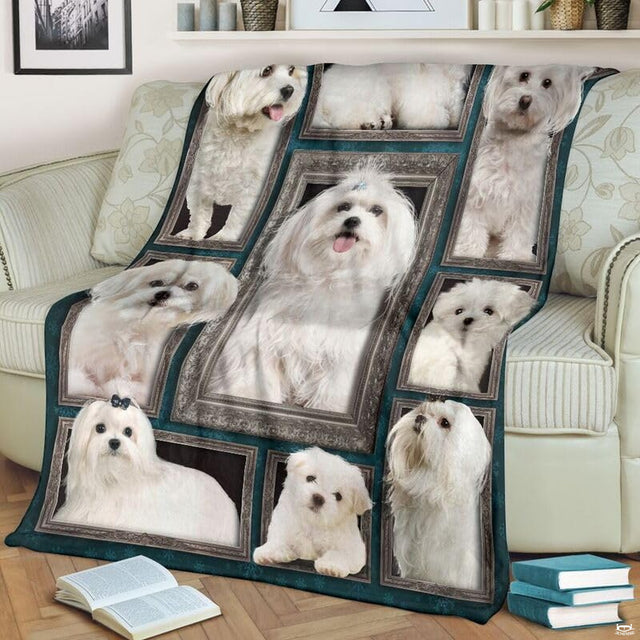 Close view of smiling Maltese dog in ornate silver picture frame on blanket