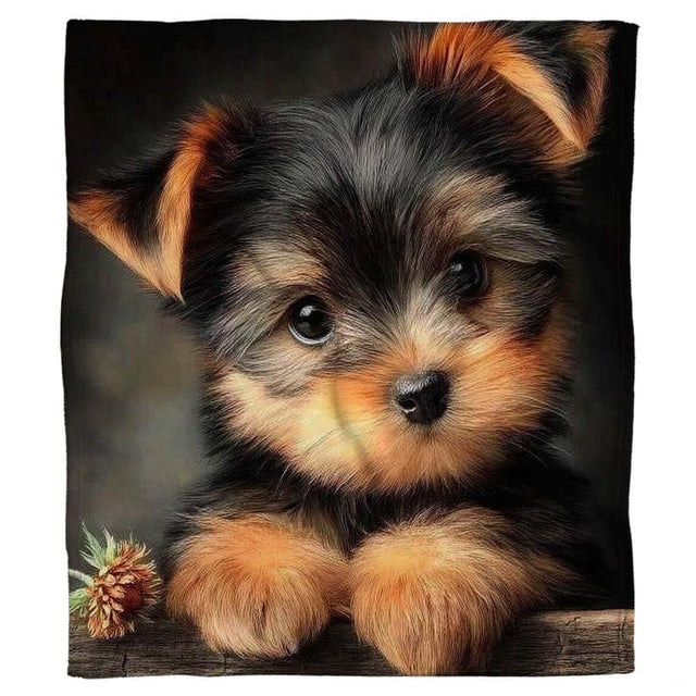 Close-up of the Yorkie puppy face highlighting big round dark eyes, golden tan cheeks, and pointed ears on a blanket