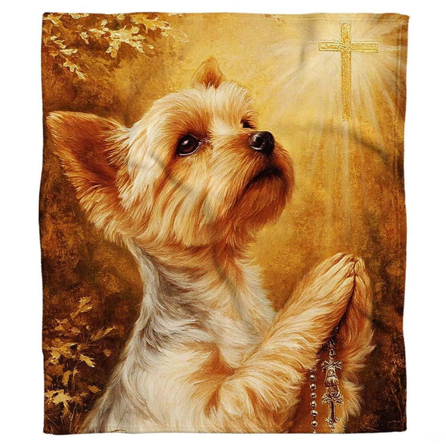 Close-up of the reverent Yorkie face looking upward toward heavenly light beams on a blanket