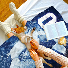 Bedding styled in a modern sports bedroom setting highlighting vibrant blue and amber decorative tones.
