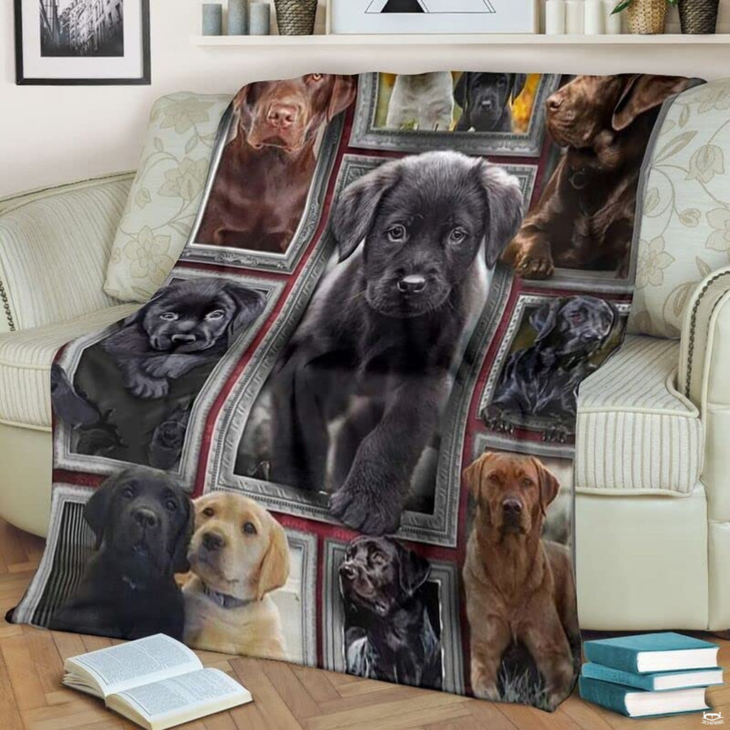 Labrador Retriever puppy throw blanket styled across a living room sofa near books and decor.