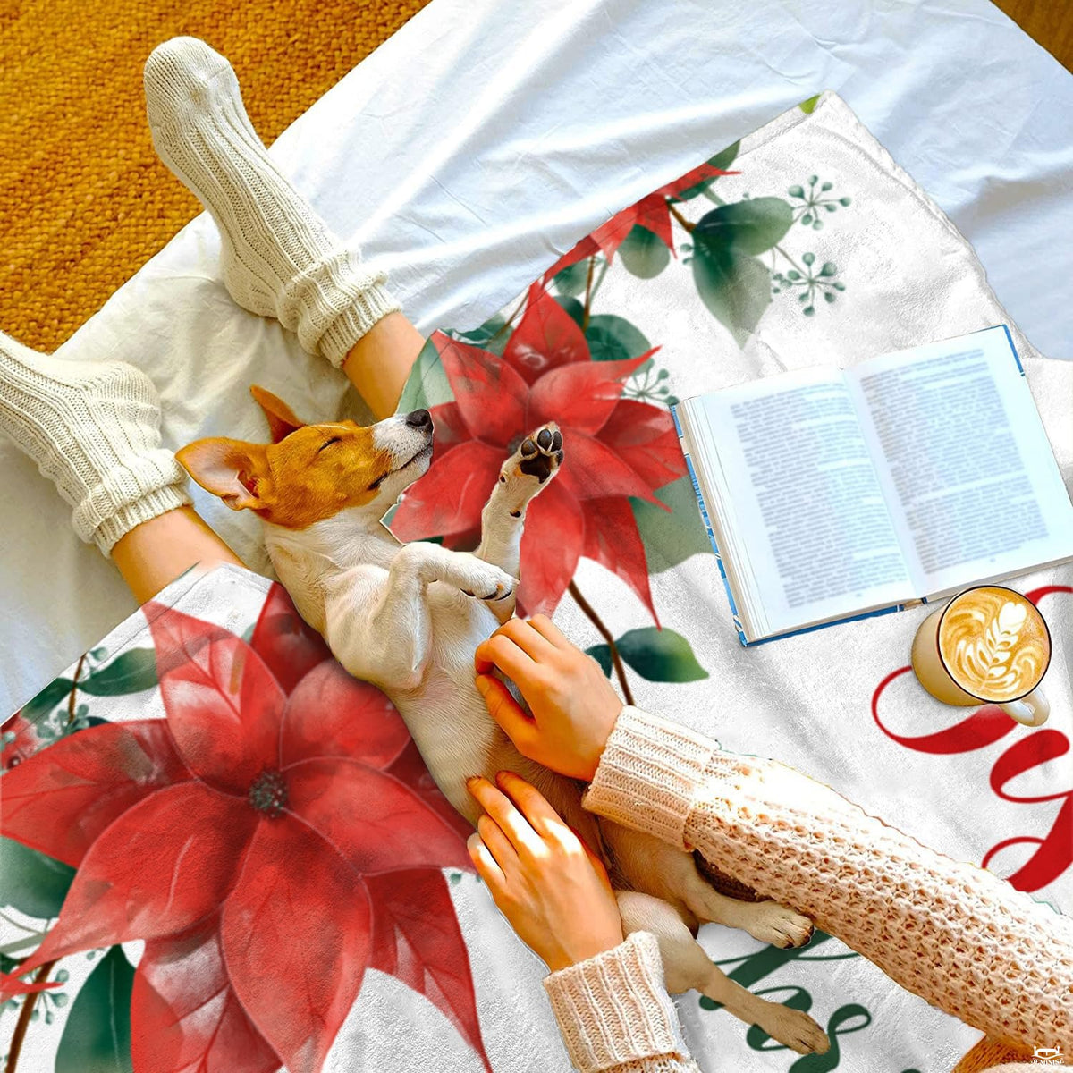 Overhead view of puppy sleeping beside poinsettia floral holiday blanket.