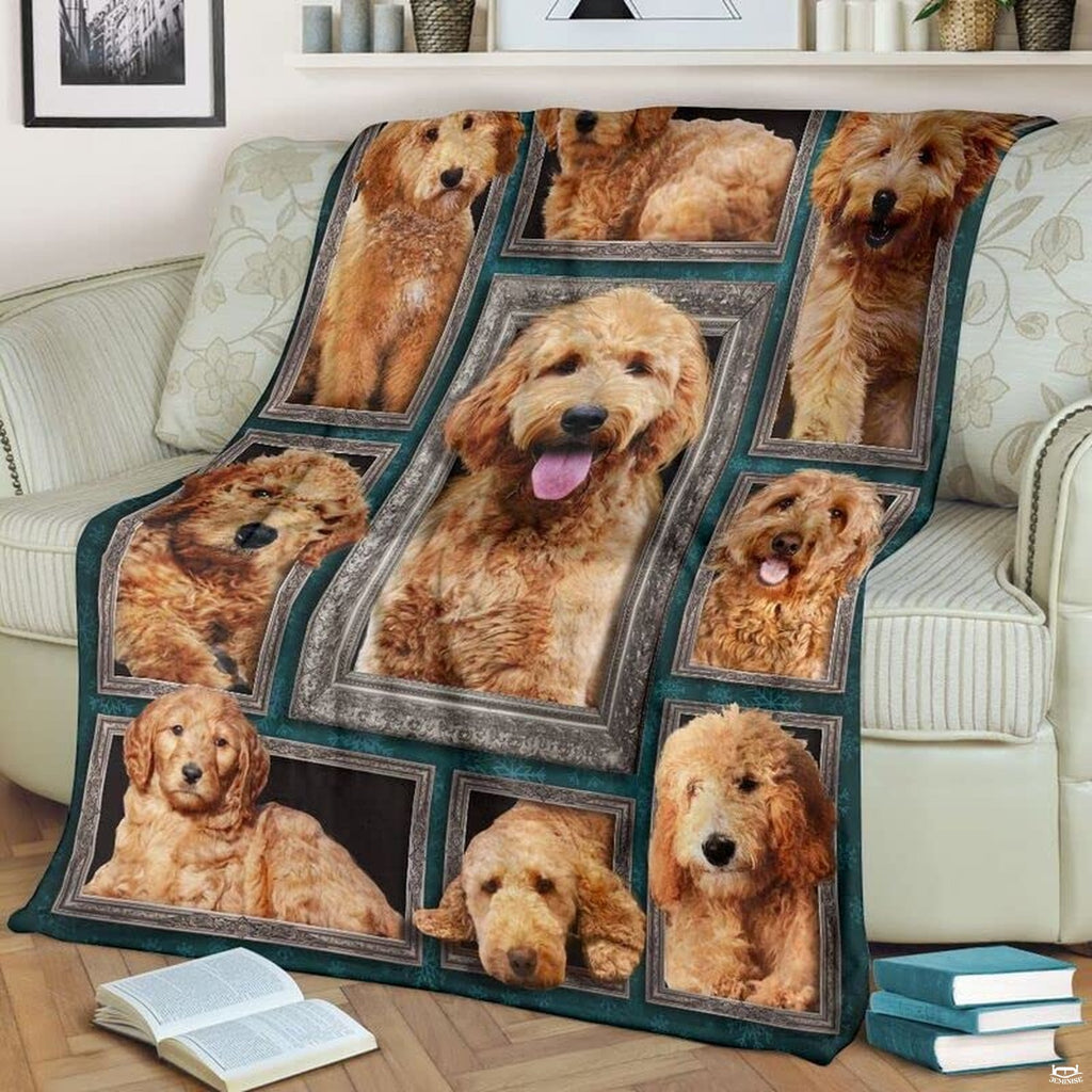 Close view of top framed lying puppy portrait on gallery blanket