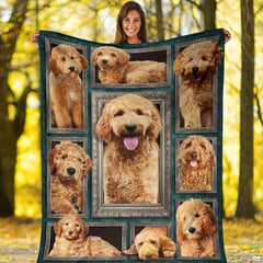 Doodle dog ornate framed photo gallery blanket held upright by model