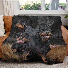 Black and tan Rottweiler dog blanket displayed on living room sofa