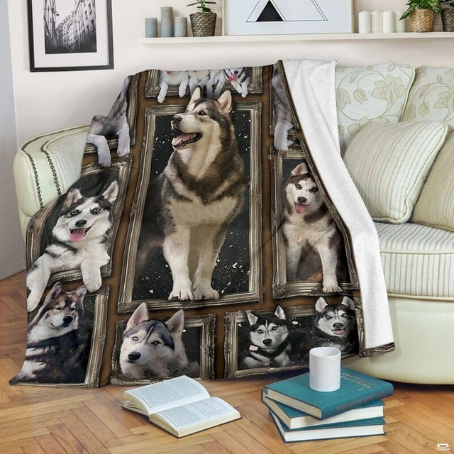 Alaskan Malamute blanket draped over an armchair displaying framed dog portraits on a teal background.