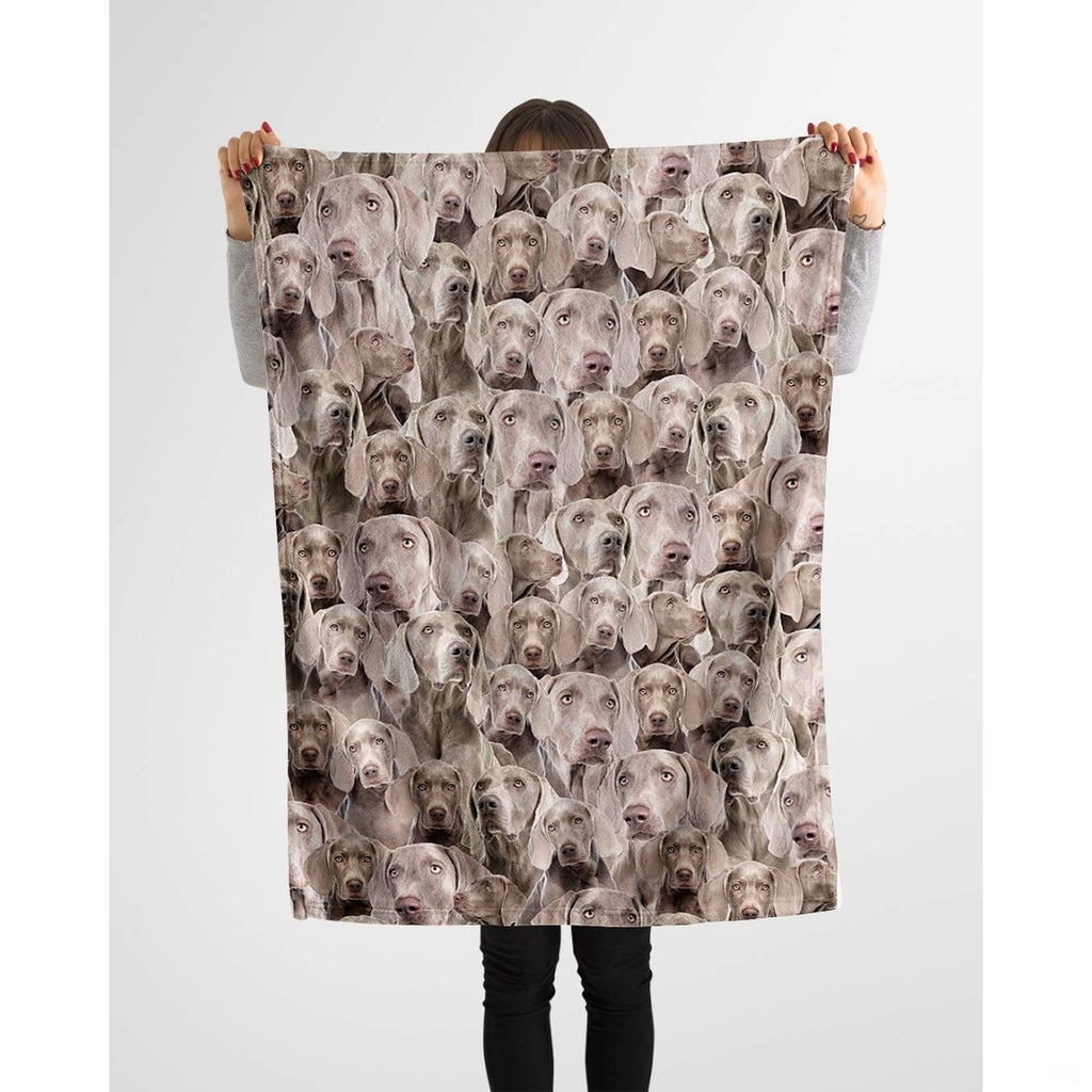 Weimaraner photo collage blanket styled across a couch in a bright living room.