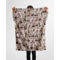 Weimaraner photo collage blanket styled across a couch in a bright living room.