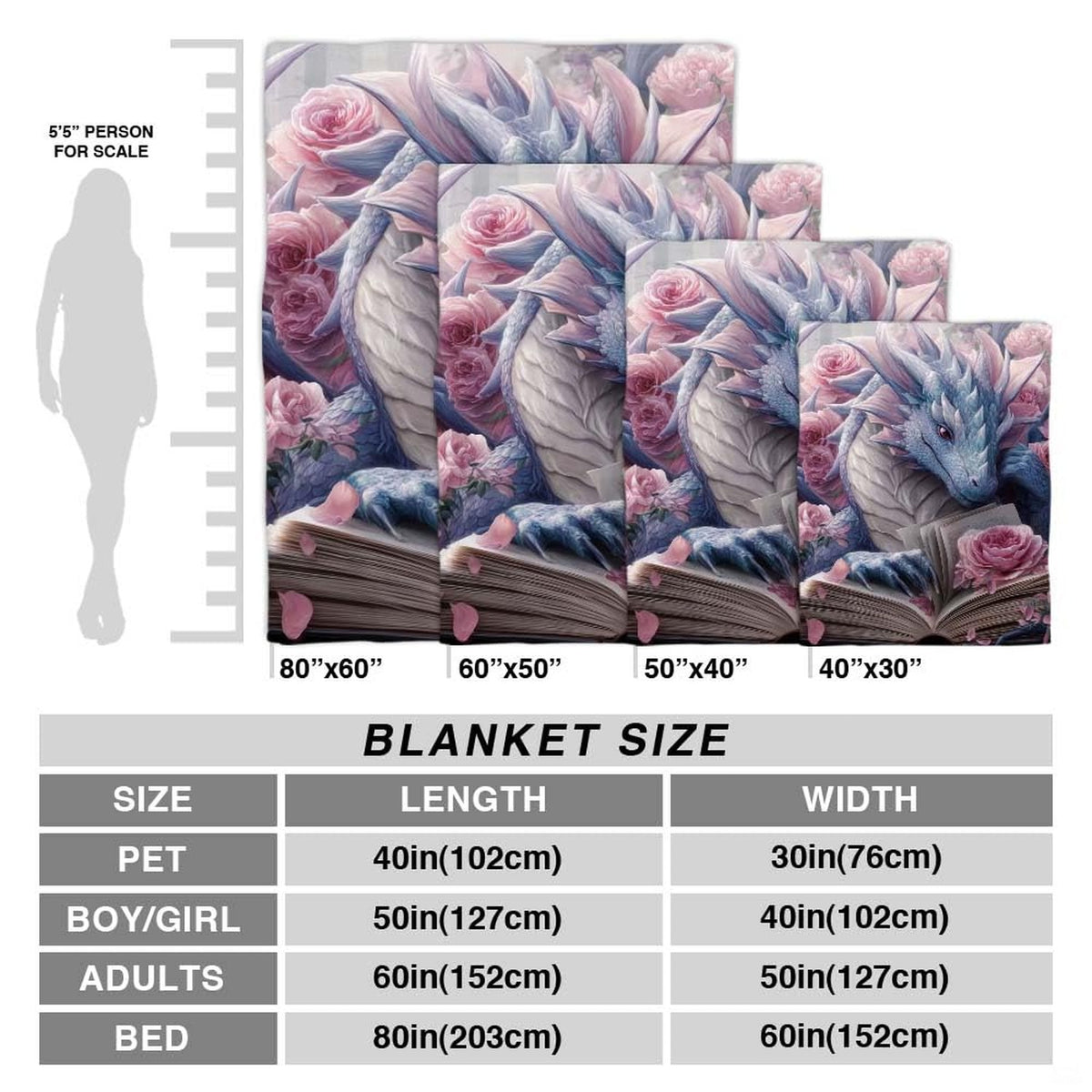 Multi-panel graphic display showcasing fantasy dragon artwork alongside dimensional scale outline