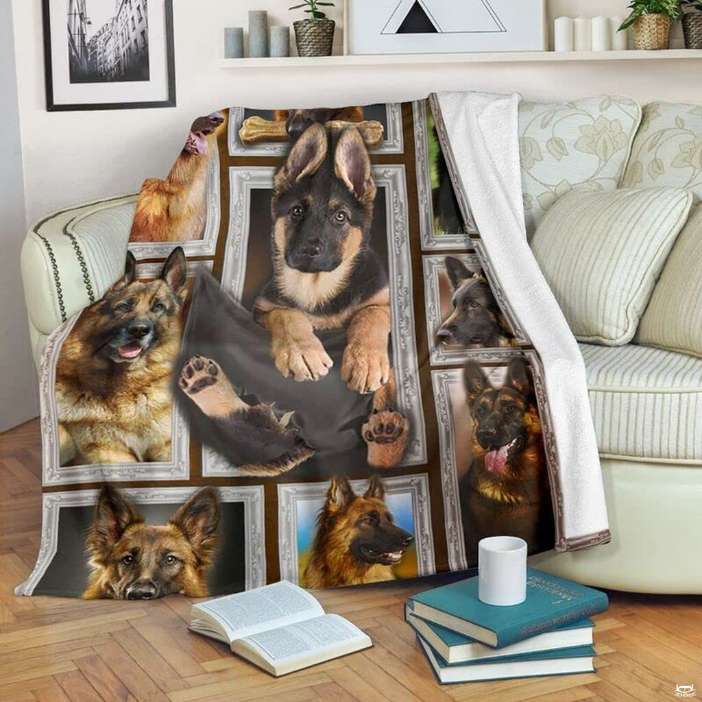 German Shepherd blanket draped over an armchair displaying framed dog portraits on a teal background.