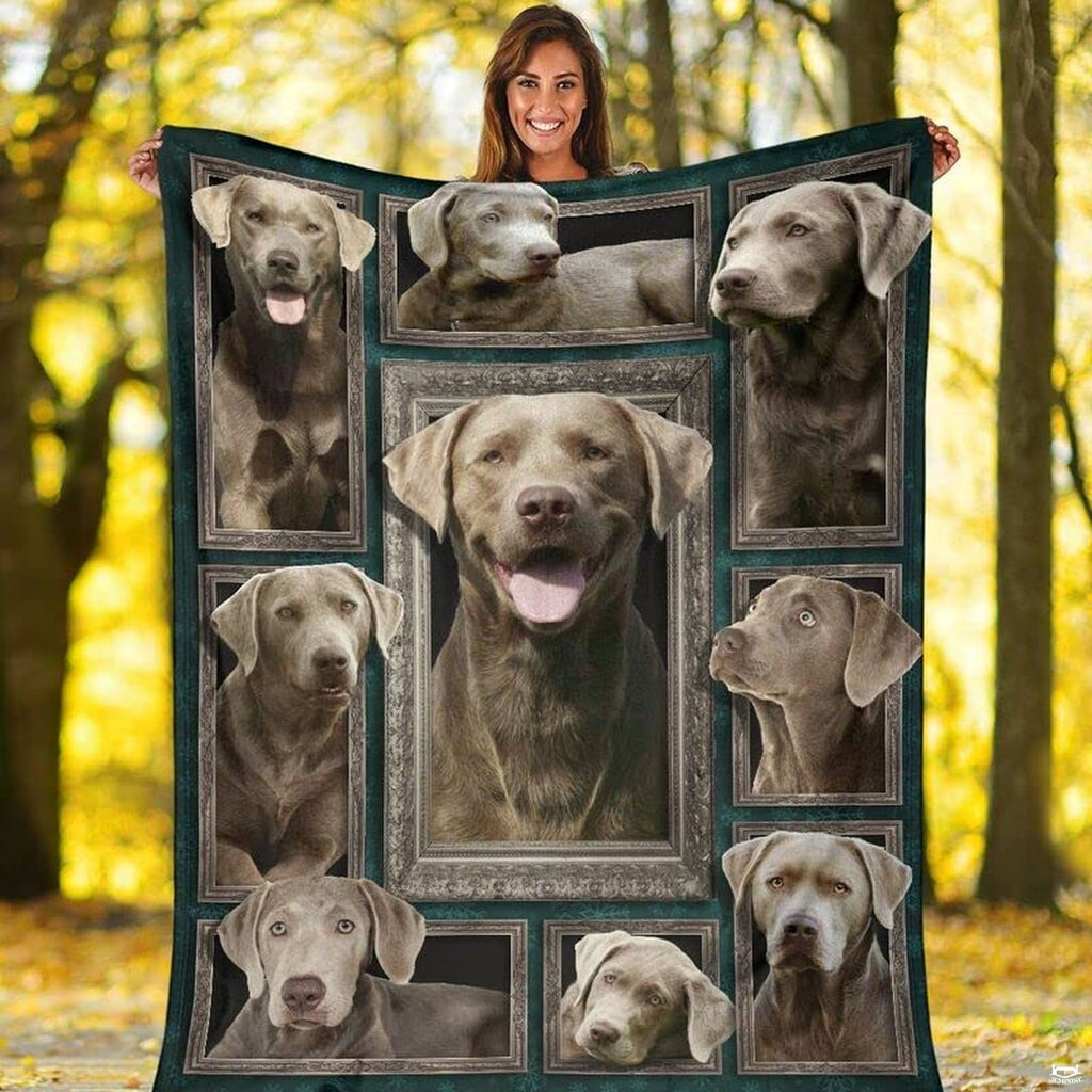 Folded canine graphic blanket highlighting antique silver frames and teal damask
