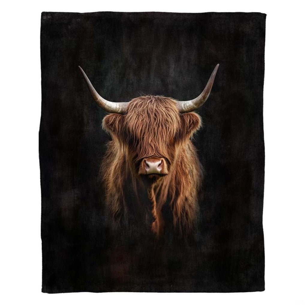 Dramatic portrait of Scottish Highland cow with curved horns emerging from black background, view 1.