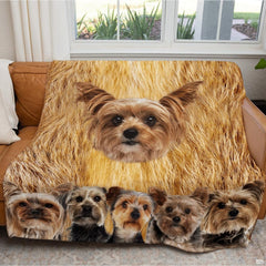 Detailed artwork illustrating golden brown and silver pet tones on decorative bedding.
