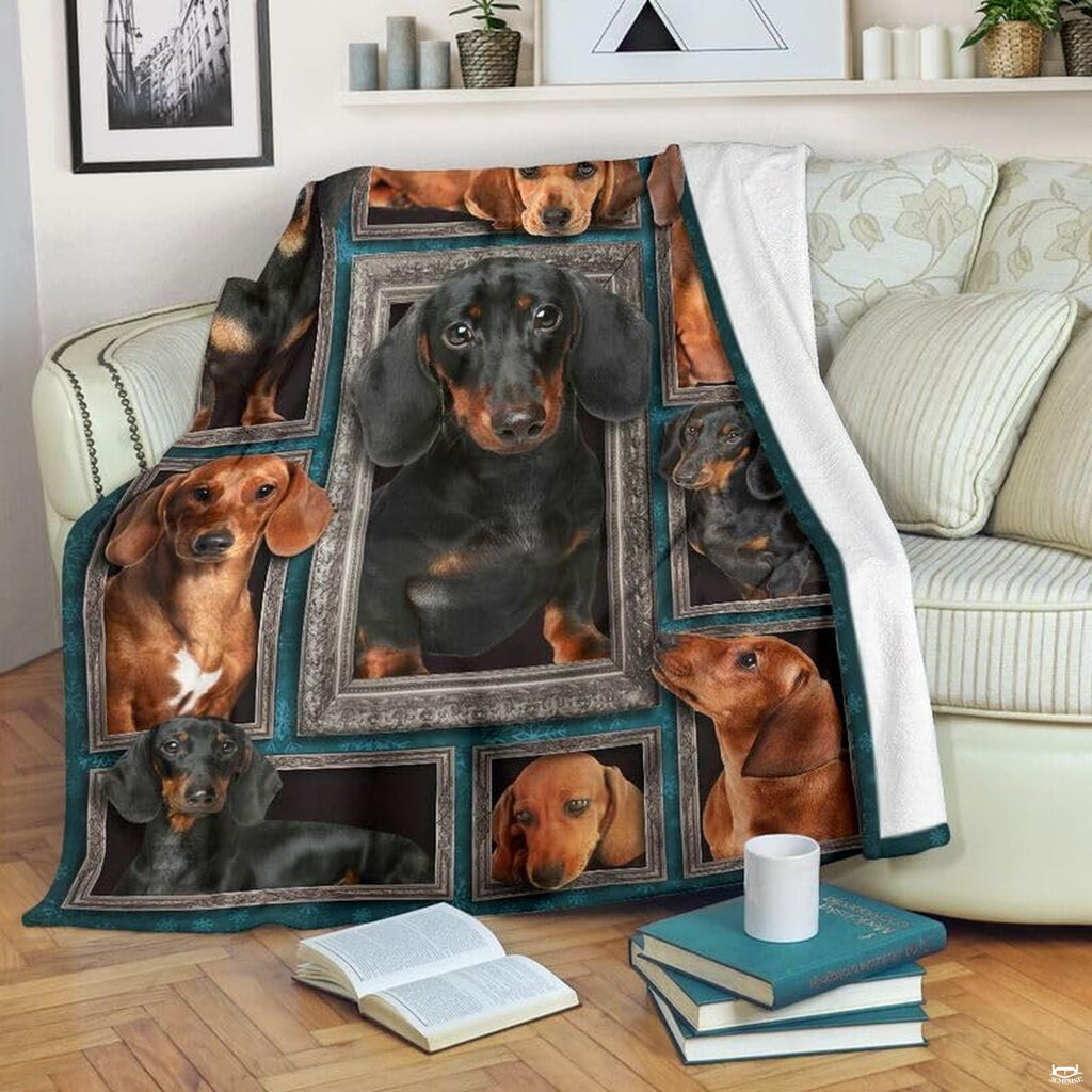 Dachshund blanket draped over an armchair displaying framed dog portraits on a teal background.