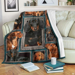 Dachshund blanket draped over an armchair displaying framed dog portraits on a teal background.