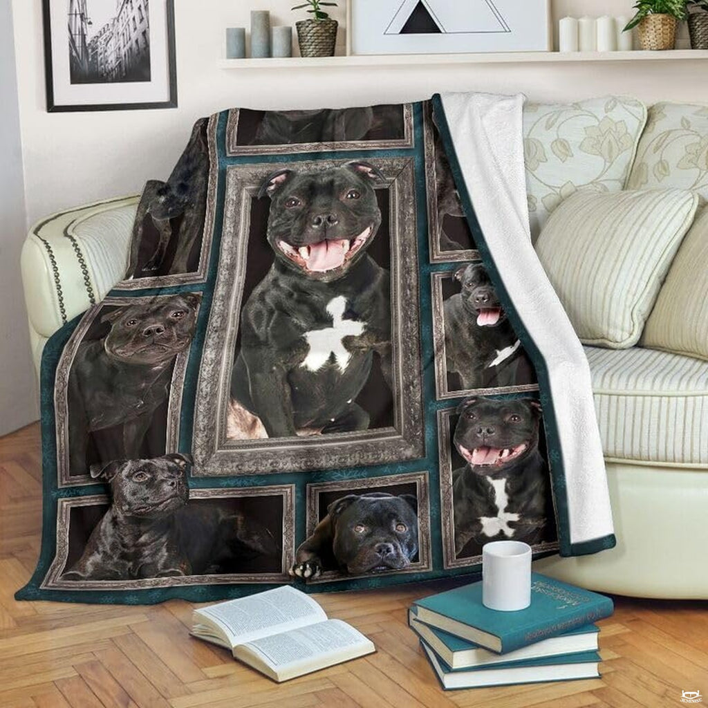 Staffordshire Bull Terrier blanket draped over an armchair displaying framed dog portraits on a teal background.