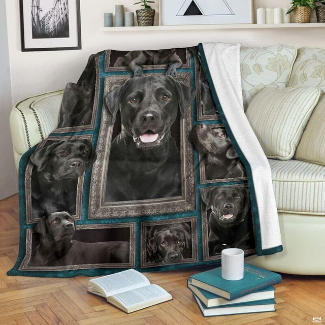 Black Labrador Retriever blanket draped over an armchair displaying framed dog portraits on a teal background.