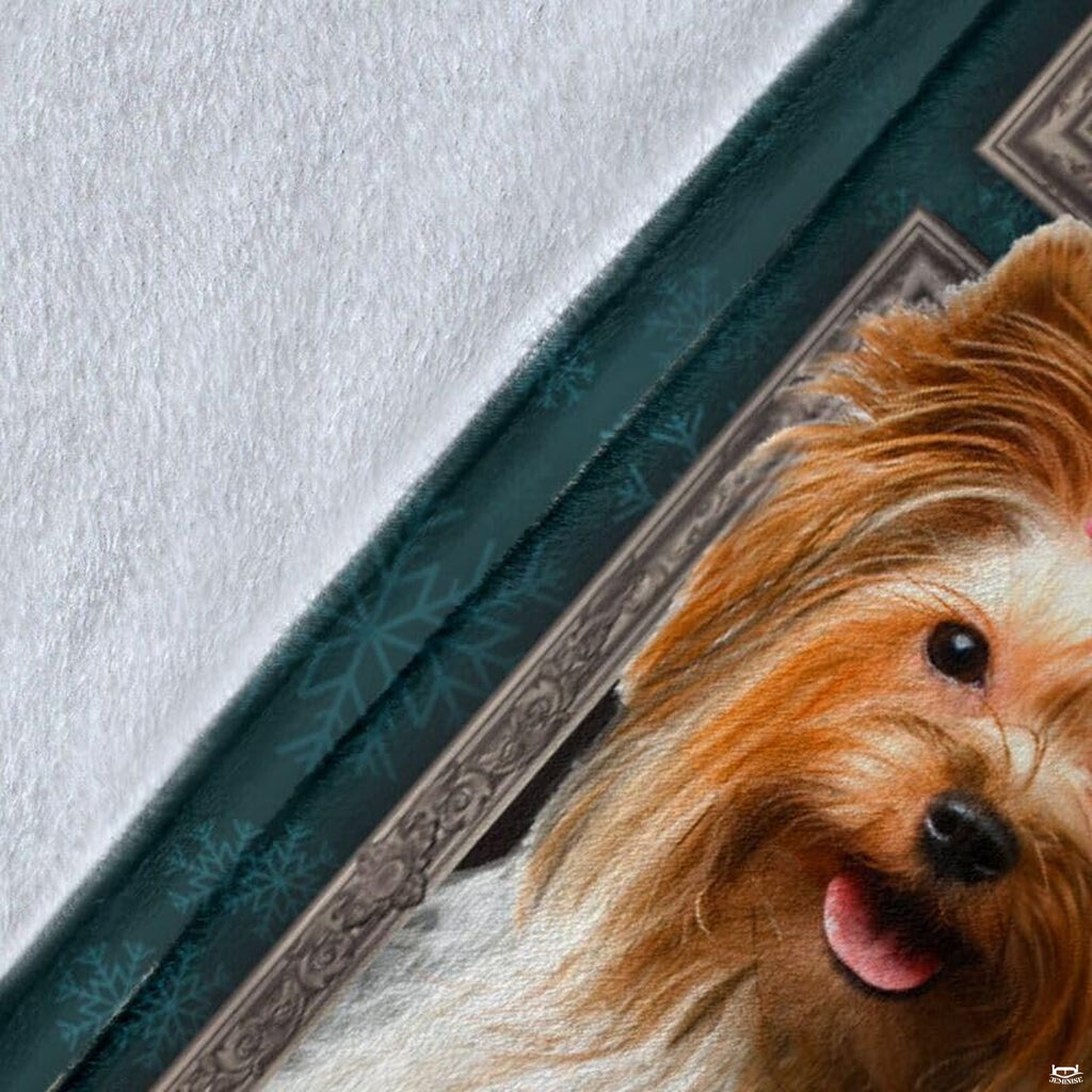 Alternative room perspective of framed Yorkie gallery blanket
