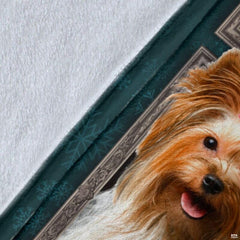 Alternative room perspective of framed Yorkie gallery blanket