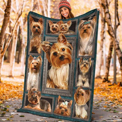 Yorkshire Terrier portrait graphic blanket displayed on living room chair