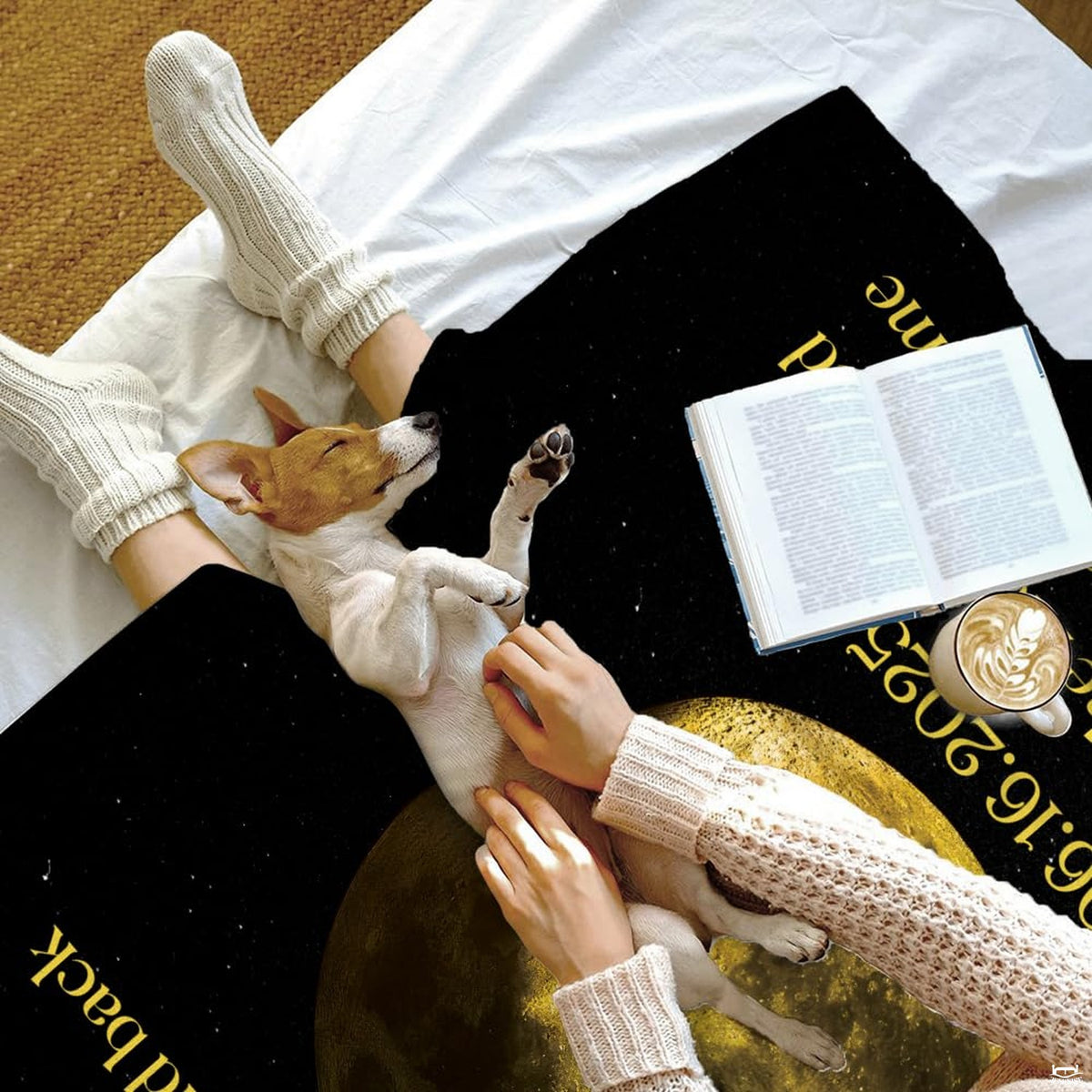 Overhead perspective of person and resting pet on bed with the golden celestial orb graphic.