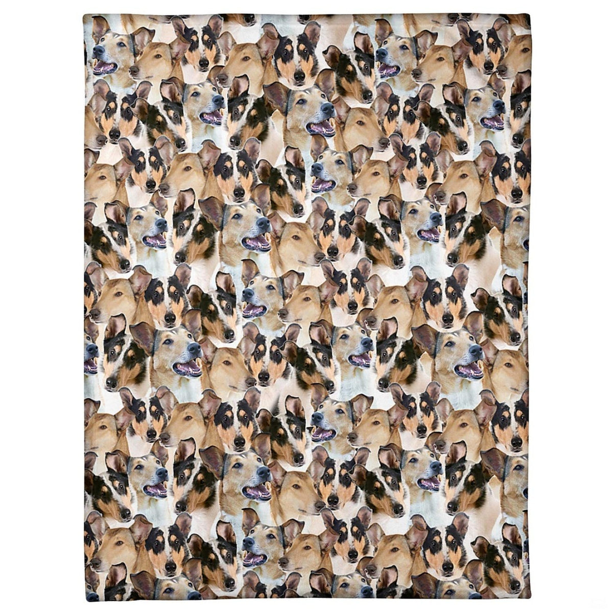 All-over pattern display showing a dense photo collage of smiling shorthaired collie dog portraits.