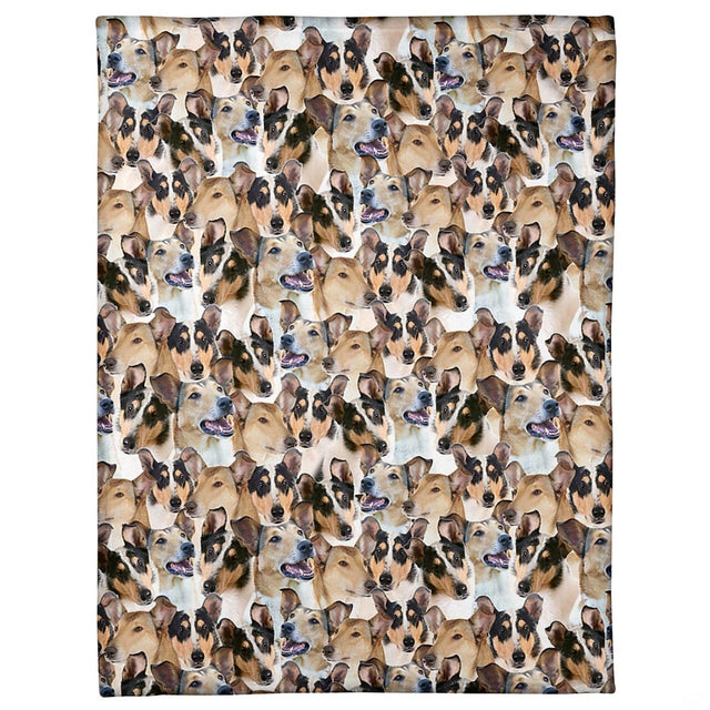All-over pattern display showing a dense photo collage of smiling shorthaired collie dog portraits.