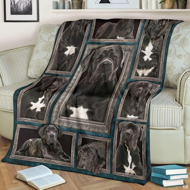 Close-up of realistic Italian Mastiff face framed by gilded antique baroque molding.