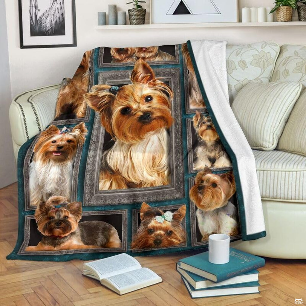 Yorkshire Terrier framed gallery wall dog blanket draped over sofa