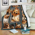 Yorkshire Terrier framed gallery wall dog blanket draped over sofa